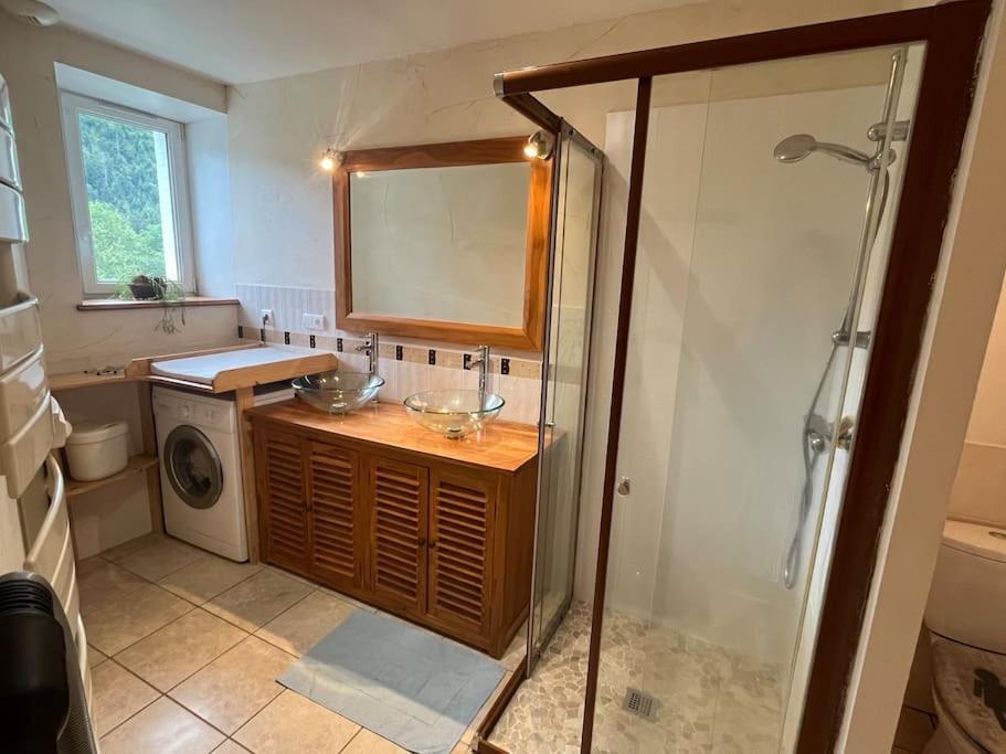 Appartement 5 Personnes Avec Espace Plein Air Saint-Maurice-sur-Moselle Exteriör bild