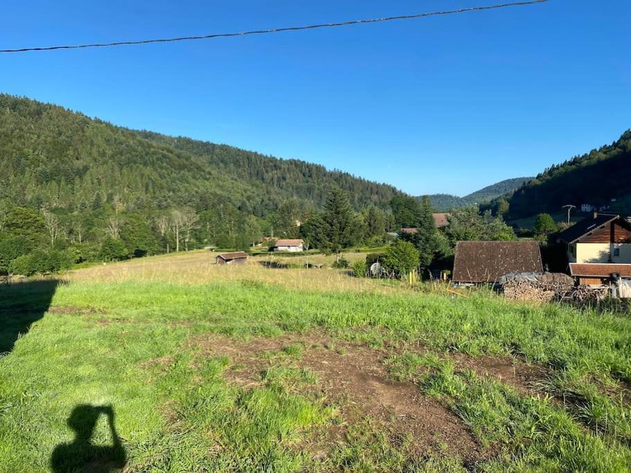 Appartement 5 Personnes Avec Espace Plein Air Saint-Maurice-sur-Moselle Exteriör bild