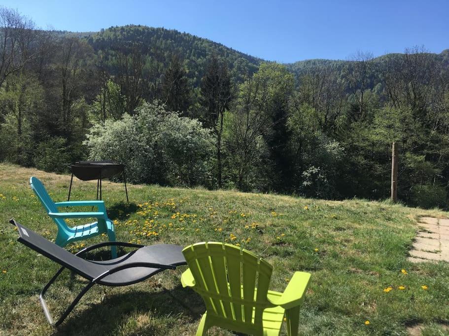 Appartement 5 Personnes Avec Espace Plein Air Saint-Maurice-sur-Moselle Exteriör bild